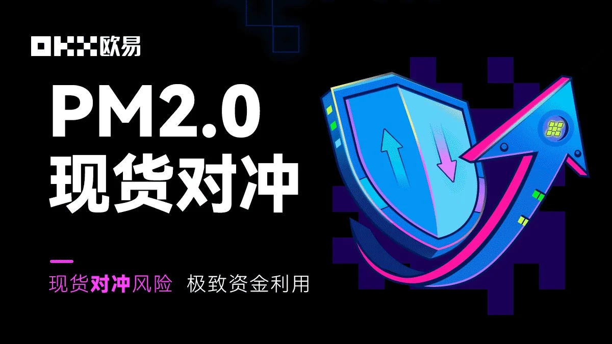 PM2.0 现货对冲风险 极致资金利用：教学图解